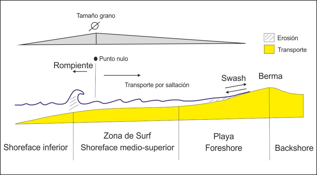 diagrama transporte granos playas